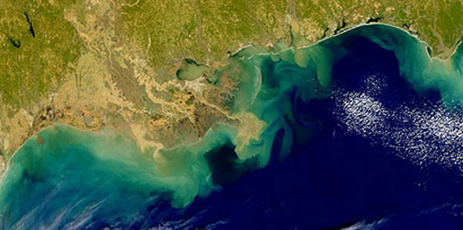 ocean dead zones